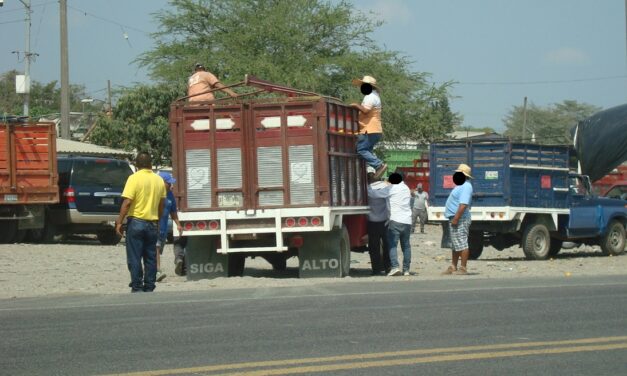 Álamo: Productor de Cítricos Tihuateco Pide Ayuda a la Policía tras Ser Engañado por «Coyote» en Estafa de Compra de Naranjas