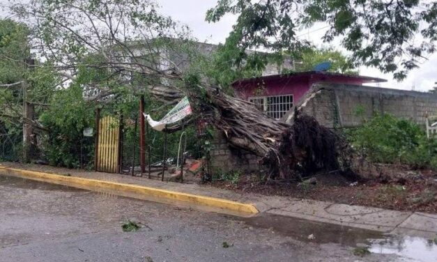 Paso del frente frío deja estragos en el municipio de Álamo, Veracruz