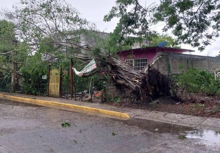 Paso del frente frío deja estragos en el municipio de Álamo, Veracruz
