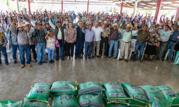 Tuxpan: Con la entrega de semilla de frijol de alta calidad, se cultivarán 560 hectáreas, en beneficio de cientos de familias del campo