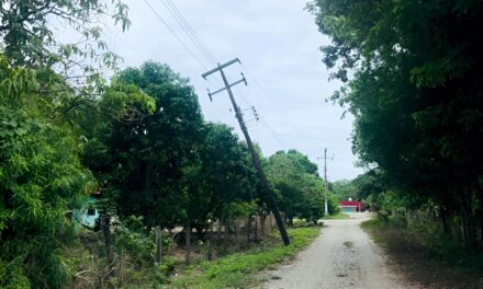 Álamo: Poste a punto de caer en Monte Chiquito genera preocupación entre los habitantes