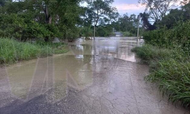 Álamo: Arroyos desbordados interrumpen paso a Tincontlán, La Providencia y Mequetla
