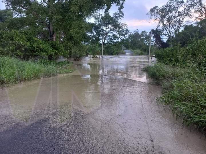Álamo: Arroyos desbordados interrumpen paso a Tincontlán, La Providencia y Mequetla