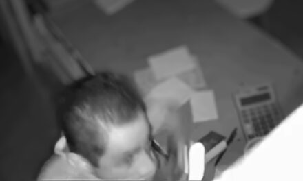 Ladrón roba dinero en efectivo y herramientas valuadas en 7 mil pesos en tienda de pinturas en Álamo, Veracruz