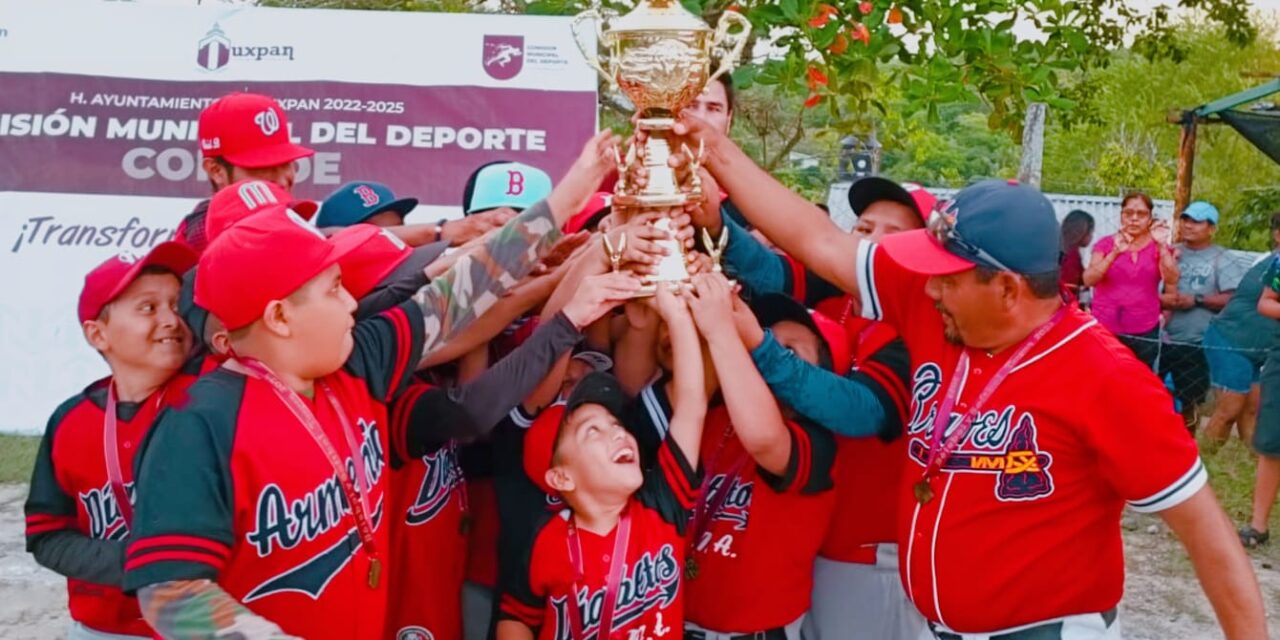 FINAL DE BEISBOL INFANTIL