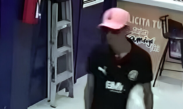 Álamo: Ratero hábil roba celular en cuestión de segundos en tienda de telefonía