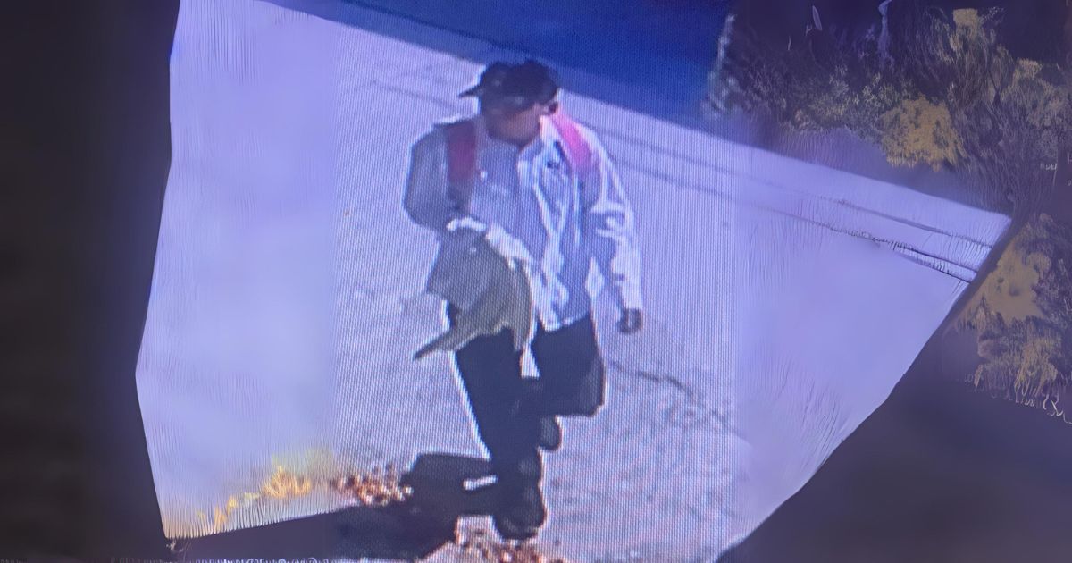 Álamo: Hombre roba bolso y queda grabado en video