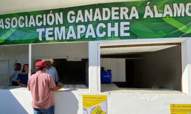 Agilizan Trámites Ganaderos en Temapache: Nuevas Oficinas Benefician a 26 Comunidades