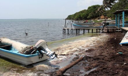 Asesinan a joven y dejan herido a su hijo en la Isla Juan A. Ramírez