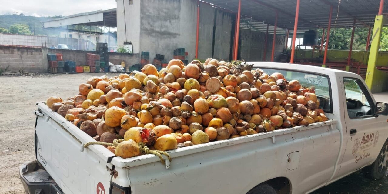 La Dirección de Medio Ambiente de Álamo Temapache implementa las 3R