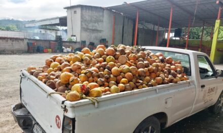 La Dirección de Medio Ambiente de Álamo Temapache implementa las 3R