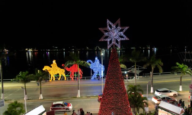 Del 23 al 25 de diciembre el hermoso Pino de Navidad de Tuxpan proyectará imágenes infantiles con motivos navideños