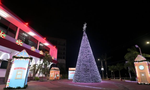 Se llevó a cabo el encendido del Árbol de Navidad