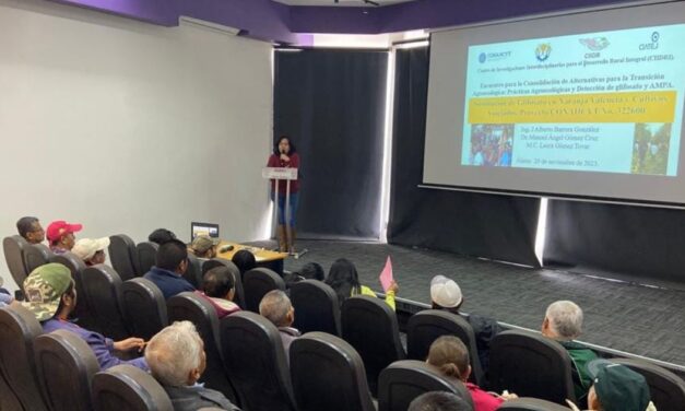 El Gobierno Municipal de Álamo Temapache reúne a apicultores y asociaciones orgánicas para dar a conocer avances contra agrotóxicos