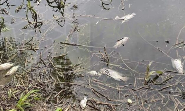 IQC Envenena el Río Tuxpan: José Manuel Ramírez González Desafía a las Autoridades y Pone en Peligro la Salud de los Habitantes de Álamo, Veracruz