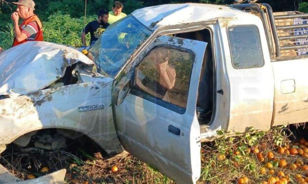 Falla mecánica provoca aparatosa volcadura en la carretera Álamo-Castillo