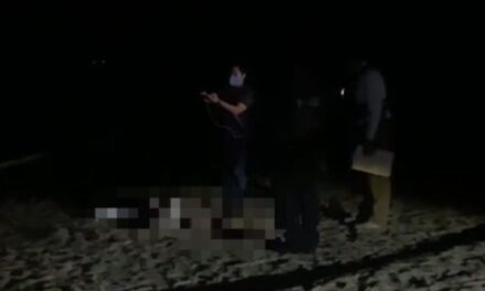 Mueren tres empleados del Bienestar Papantla en la autopista del Sol