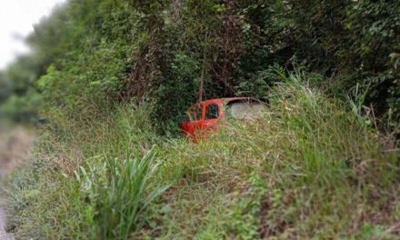 Mujer se queda «dormida» al volante y sale de la carretera Papantla- Poza Rica