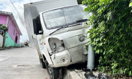 Papantla: ¡Se queda sin frenos y se estrella contra una luminaria!