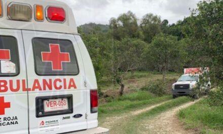 Álamo: Hombre es atropellado y severamente lastimado mientras trabajaba en una parcela