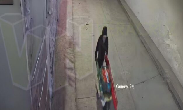 Álamo: Se roban un local completo del mercado de “Las Piedritas”