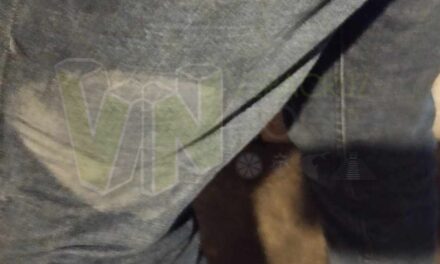 Reportan presuntos motoladrones en la Álamo-Ojite