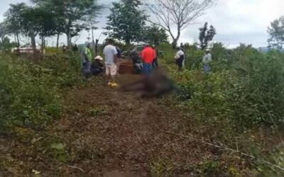 Incrementan los casos de abigeato en Chicontepec: Cuatreros sacrifican tres vacas