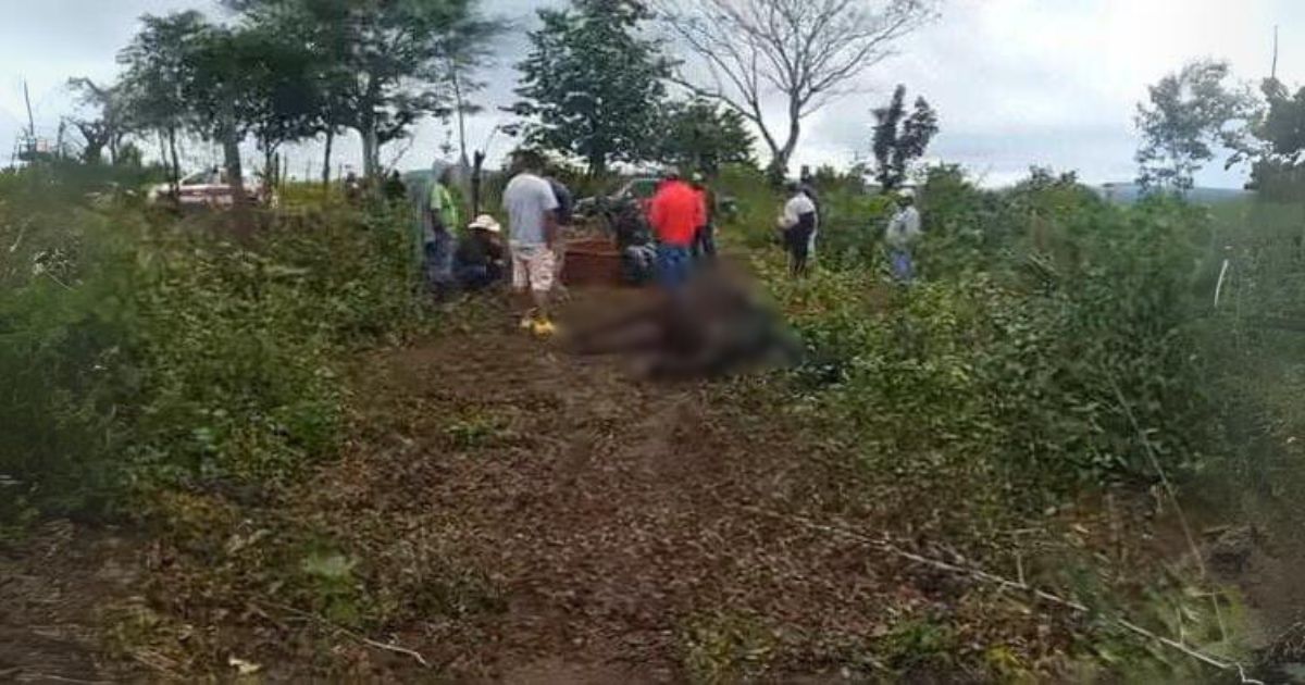 Incrementan los casos de abigeato en Chicontepec: Cuatreros sacrifican tres vacas