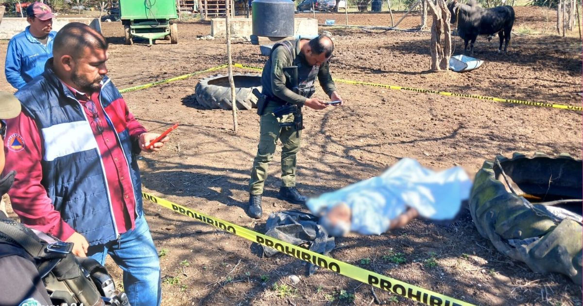 Tampico Alto: Hombre atacado por un toro pierde la vida