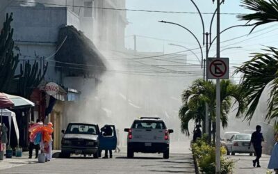 ¡Se incendia rosticería de pollos en Tecolutla!