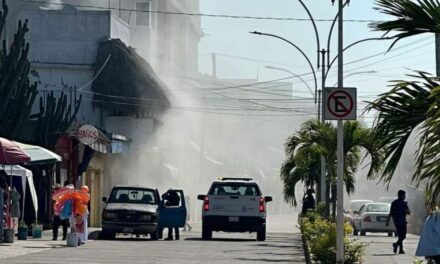¡Se incendia rosticería de pollos en Tecolutla!