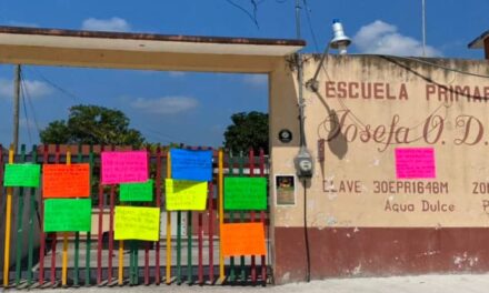 Papantla: Unos denuncian a maestra por maltratadora y otros la defienden en Agua Dulce