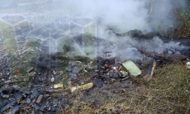 Quema ilegal de neumáticos en Álamo, provoca incendio
