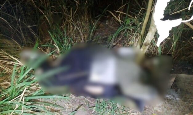 Conductor arrolla a ciclista y huye del lugar en la Tuxpan-Tampico