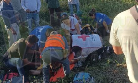 Álamo: Padre e hijo resultan gravemente heridos después de un choque en El Cinco
