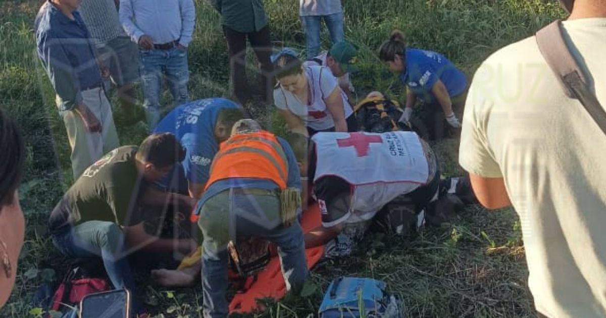 Álamo: Padre e hijo resultan gravemente heridos después de un choque en El Cinco