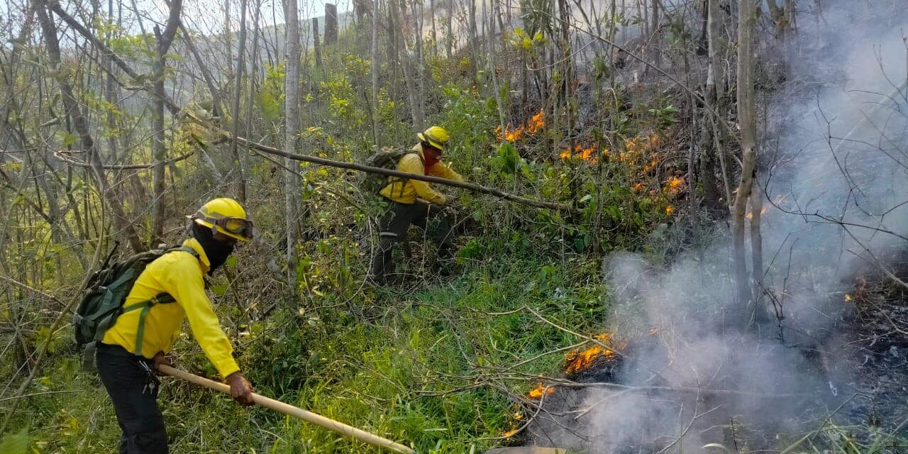 Reporte de avances en el combate a incendios en el estado de Veracruz
