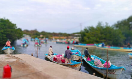 Tampico Alto: Pescadores buscan aumentar la producción de ostiones