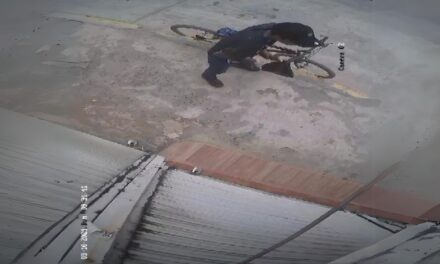 Ratas continúan al acecho: Ladrón se lleva cangurera de un negocio en Álamo, Veracruz