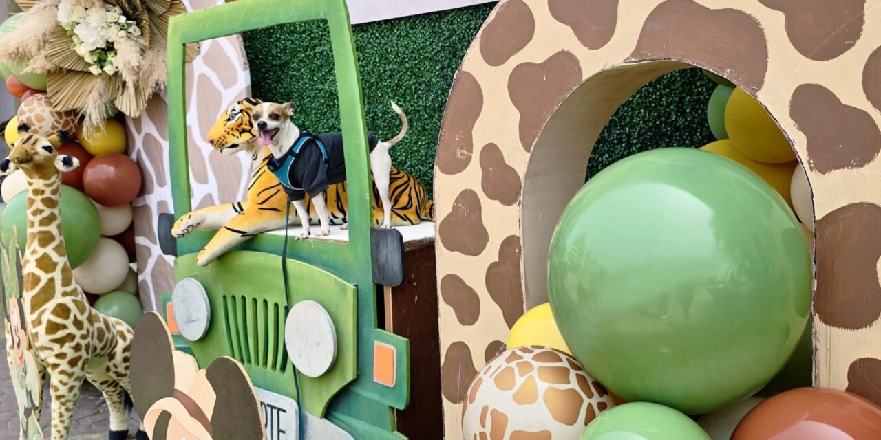 Exitosa campaña de registro de mascotas en el municipio de Tuxpan