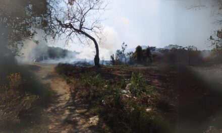 Incendios en Álamo, Veracruz, aumentan peligrosamente: Llaman a evitar quemas clandestinas