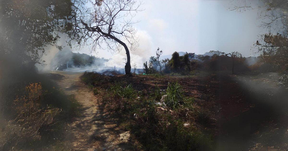 Incendios en Álamo, Veracruz, aumentan peligrosamente: Llaman a evitar quemas clandestinas