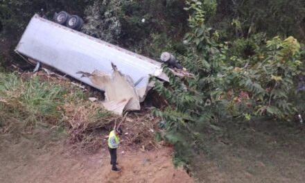 Accidente en la autopista Tuxpan- Tampico: Tráiler cargado de mangos cae por un barranco