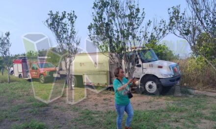 Se registra incendio en potrero cercano a Álamo, Veracruz