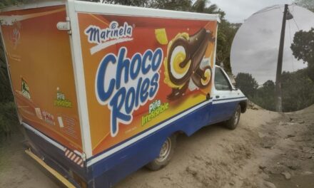 Camioneta de Marinela deja sin luz a localidad papanteca