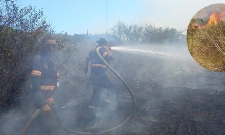 Quema de basura provoca incendio en potrero de Pueblo Viejo