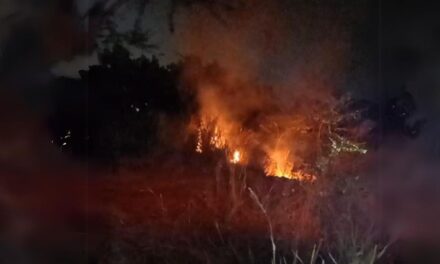 ¡Quema de pastizal desata incendio en pastizal de Cerro Azul!
