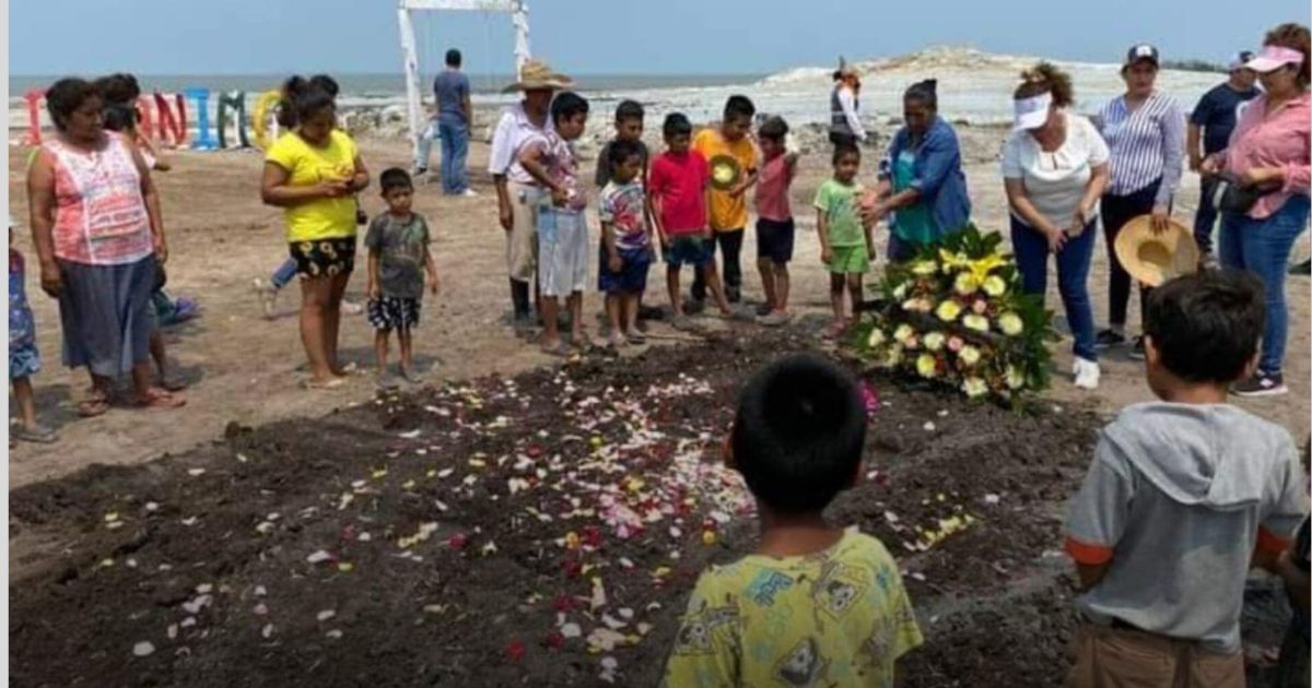 Encuentran sin vida a “Lucero” el delfín de San Jerónimo