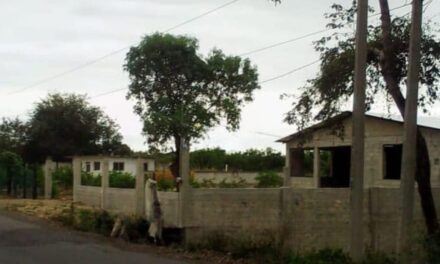 Álamo: Ladrones atracan un Templo