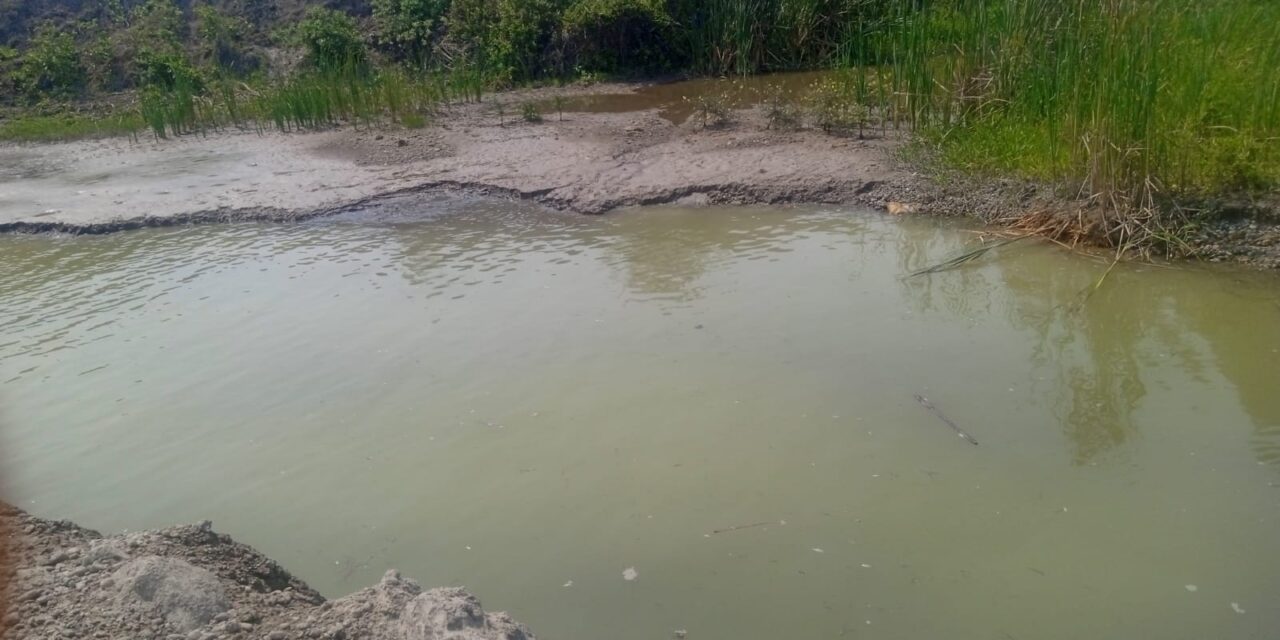 Descubren manantial en zona rural de Pueblo Viejo